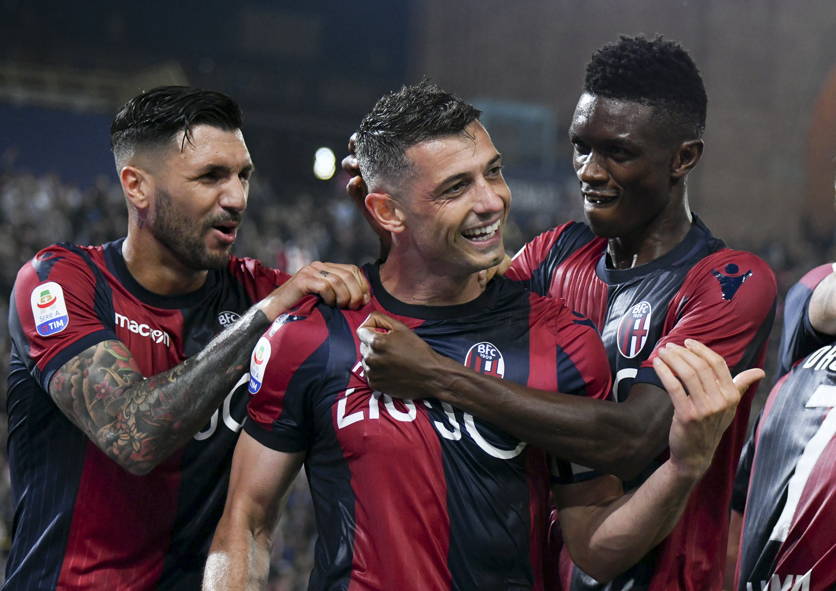 商标品类含 商标品类含