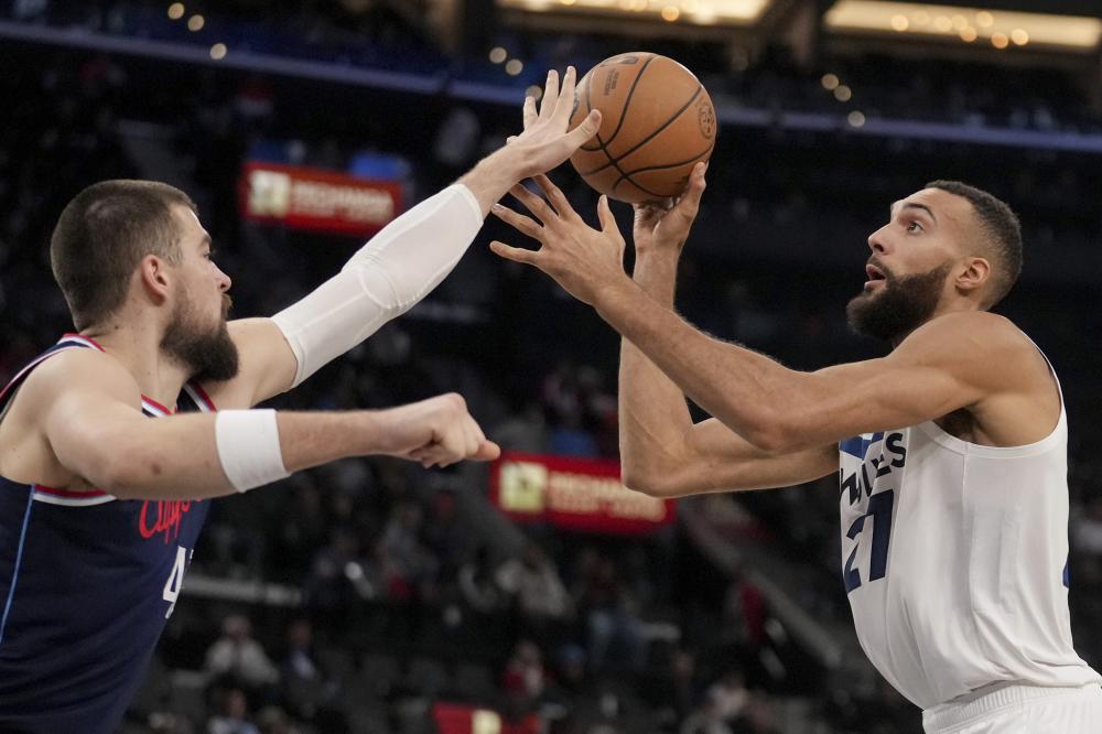 林康的特点 林康的特点