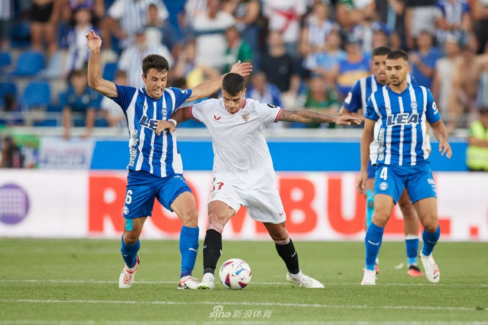 教师的指导 教师的指导